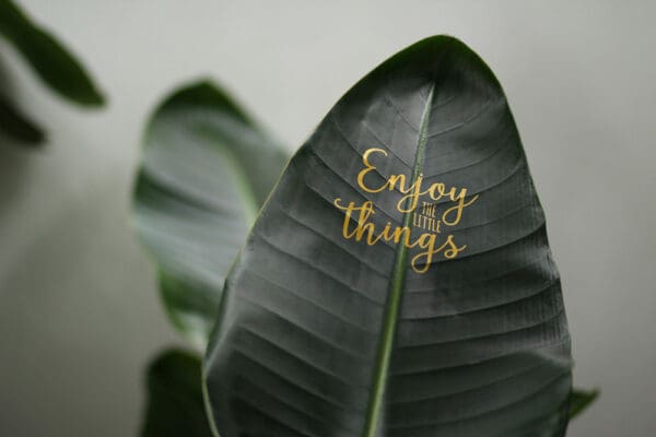 Message Printz® - Strelitzia large