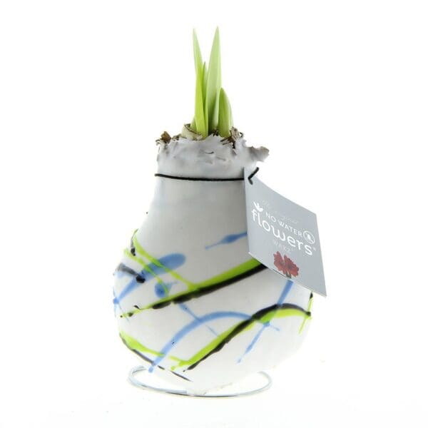 No Water Flowers® -  Art