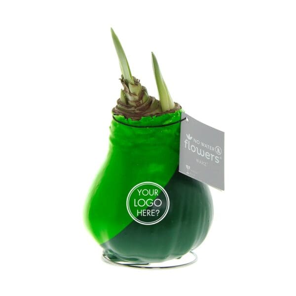 No Water Flowers® - Dipz angle