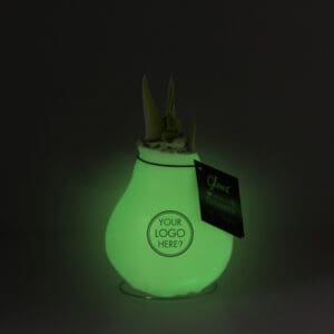 No Water Flowers® -  Glowz