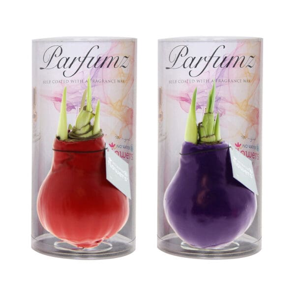 No Water Flowers® -  Parfumz