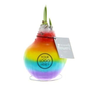 No Water Flowers® - Rainbow