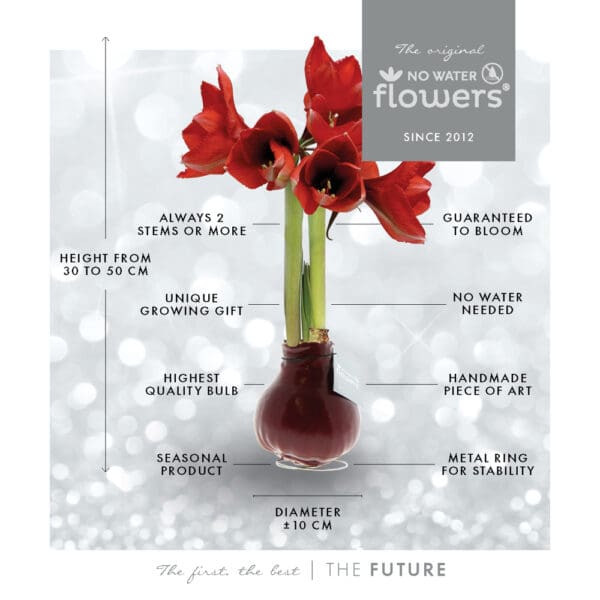 No Water Flowers® - Velvet Touchz®