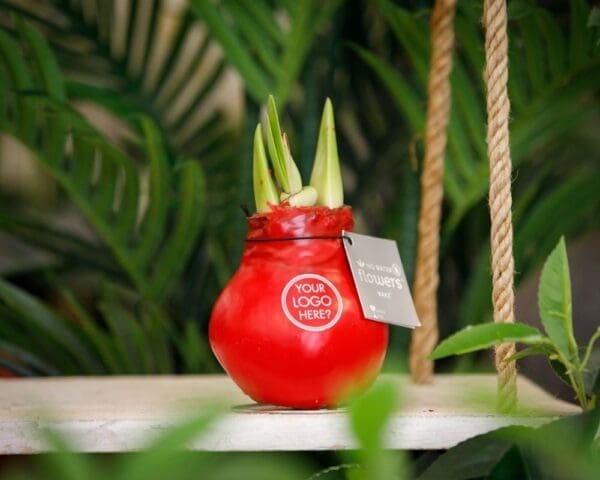 No Water Flowers® - Waxz® Colours