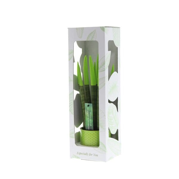 Sansevieria TOP-line - Velvet Touchz® medium