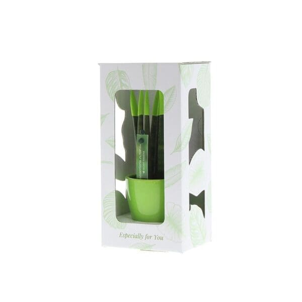 Sansevieria TOP-line - Velvet Touchz® small