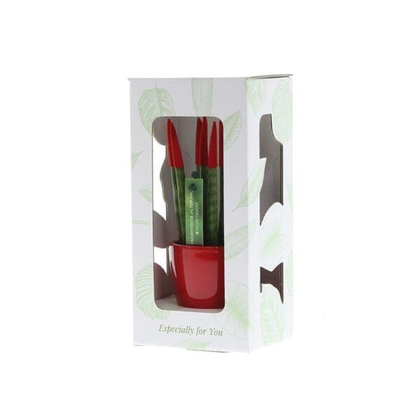 Sansevieria TOP-line - Velvet Touchz® small