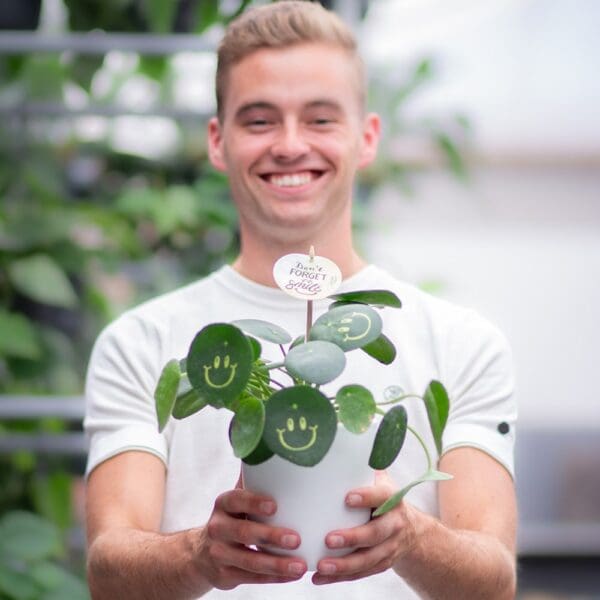 Smylieplant® Happy im Keramiktopf (large)