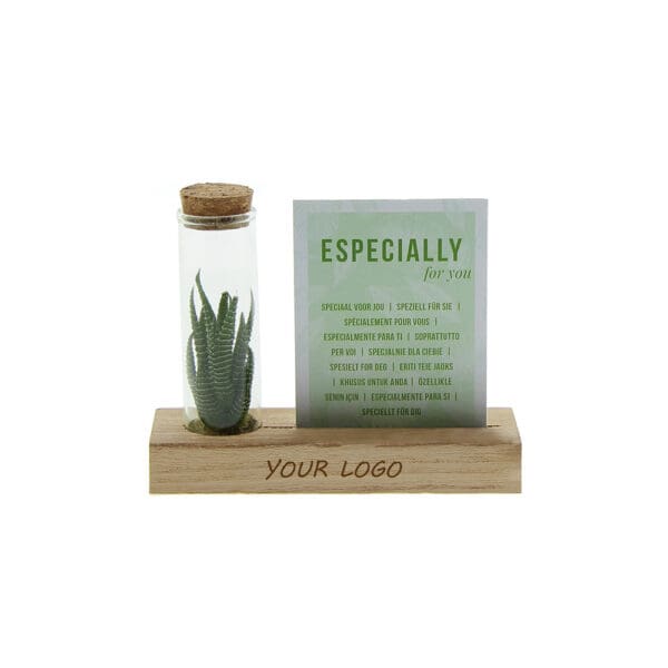 Tiny Treasurez® - Cardholder & tube