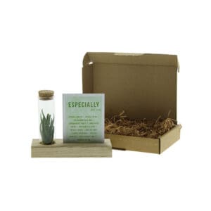 Tiny Treasurez® - Cardholder & tube