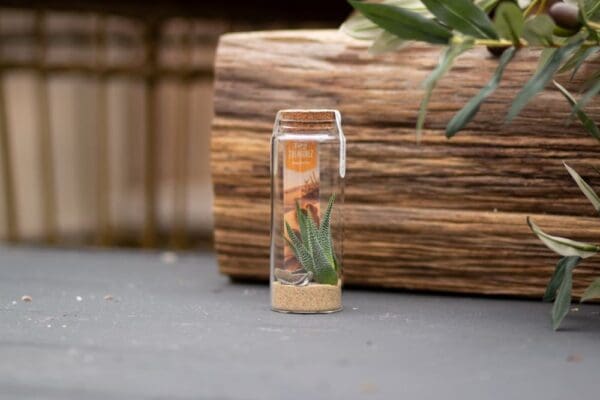 Tiny Treasurez® - Message in a bottle large