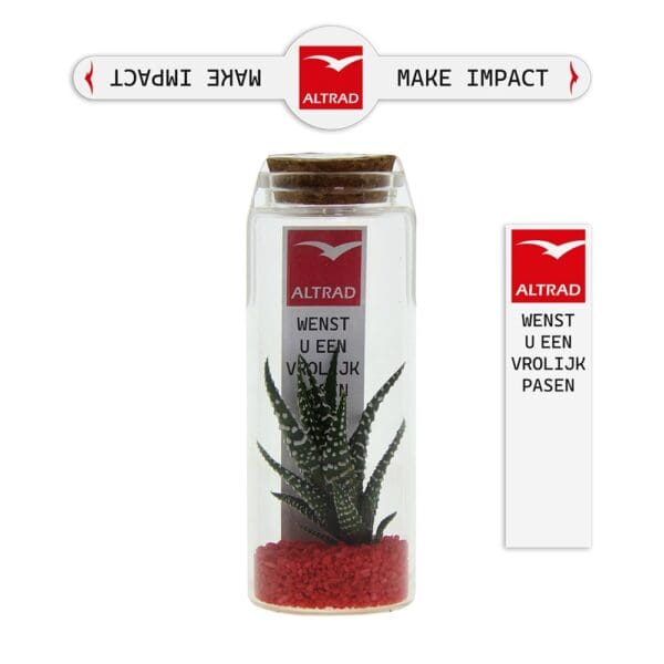 Tiny Treasurez® - Message in a bottle large
