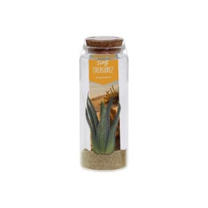 Tiny Treasurez® - Message in a bottle large
