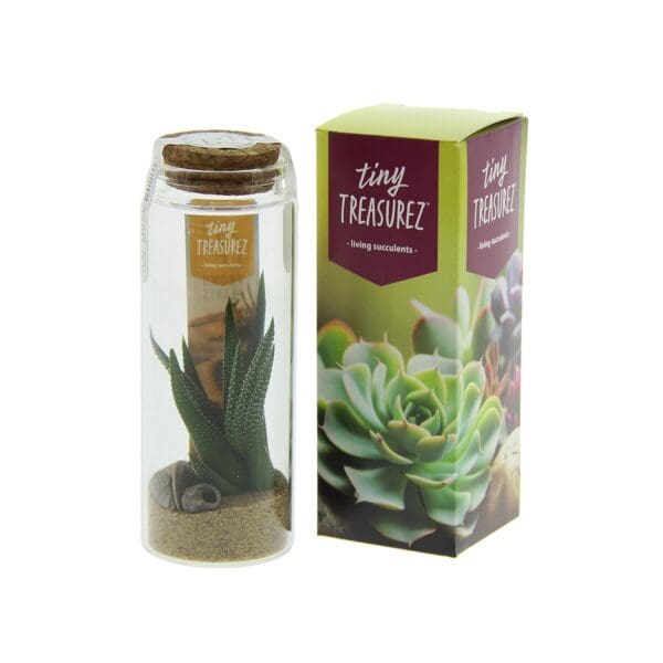 Tiny Treasurez® - Message in a bottle large