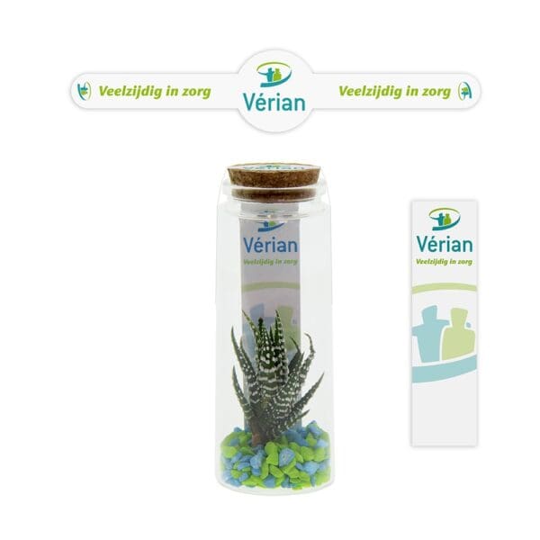Tiny Treasurez® - Message in a bottle large