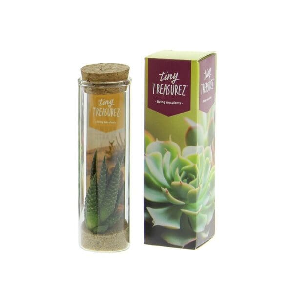 Tiny Treasurez® - Message in a bottle small