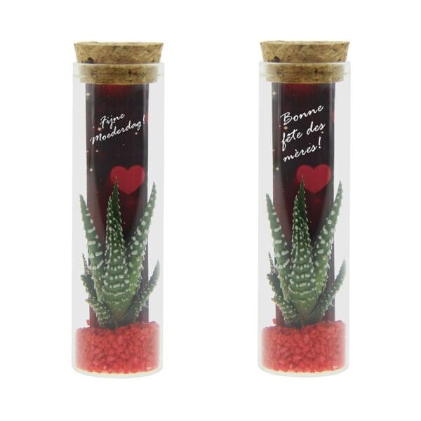Tiny Treasurez® - Message in a bottle small