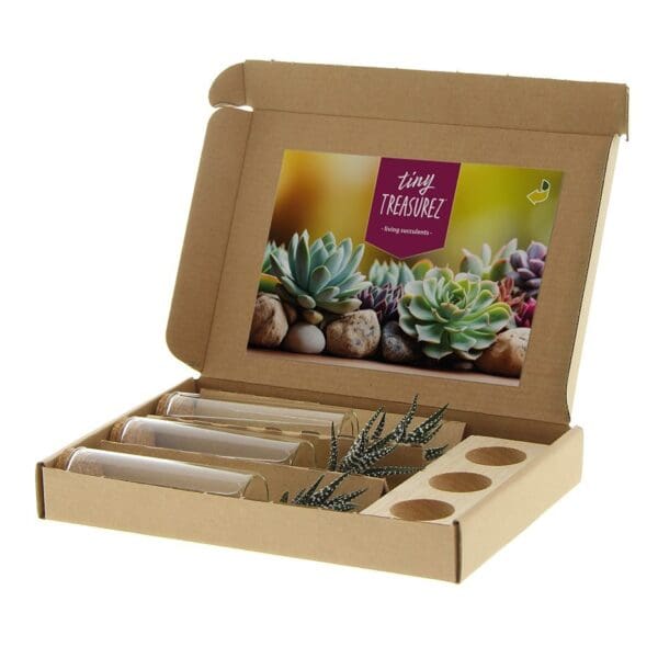 Tiny Treasurez® - Trio tube & wood
