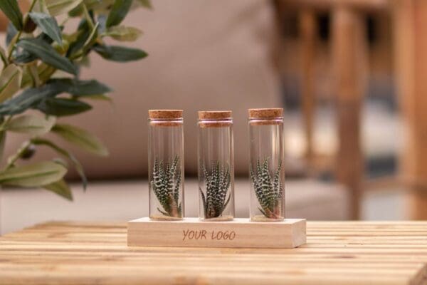 Tiny Treasurez® - Trio tube & wood