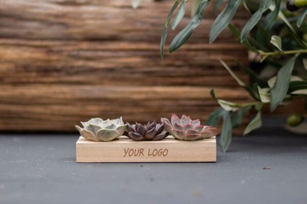 Tiny Treasurez® - Trio wood