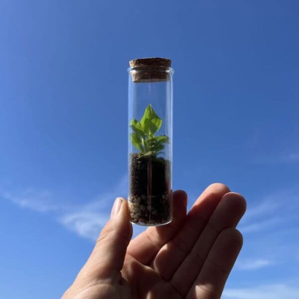 Wardians® Ecosystem - Bottle XXS