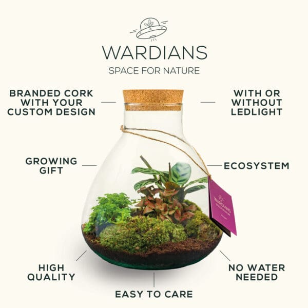 Wardians® Ecosystem - Bowl medium + LED