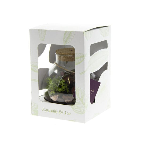 Wardians® Ecosystem - Bowl medium + LED