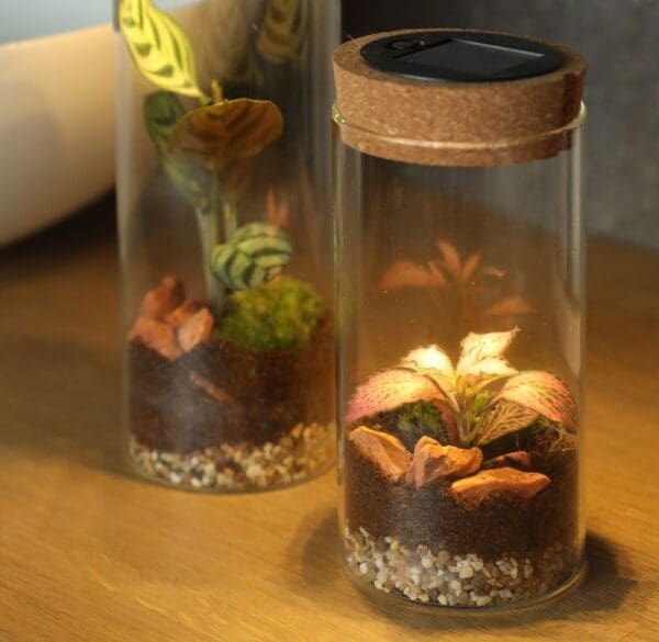 Wardians® Ecosystem - Cylinder small + Solar LED