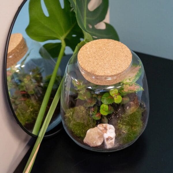 Wardians® Ecosystem - Sphere medium