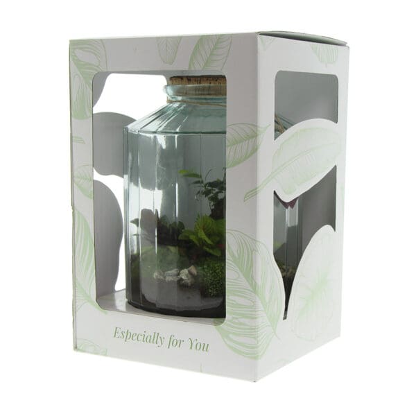 Wardians® Ecosystem - Stripe large