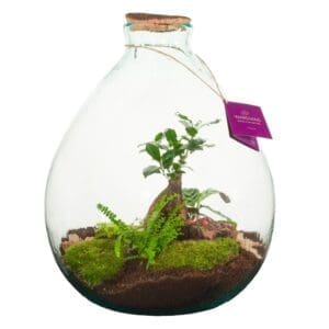 Wardians® Ecosystem - VIP