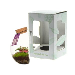 Wardians® Ecosystem - Wall hanger small