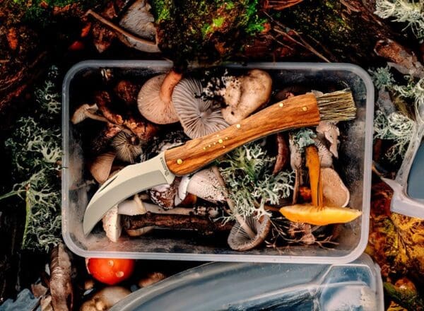 Pilz Messer ‘Laguiole’