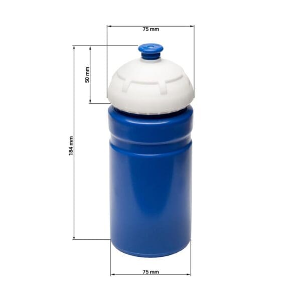 Trinkflasche "Champion" 0,55 l