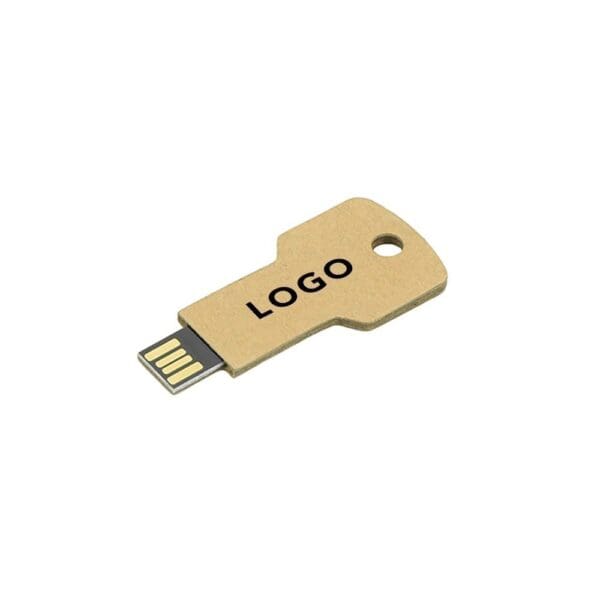 USB Stick Greencard key