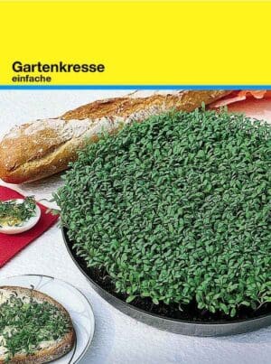 Samentütchen 82x114 mm