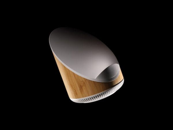 Ovate 5W Bambus Lautsprecher mit 15W WirelessCharger