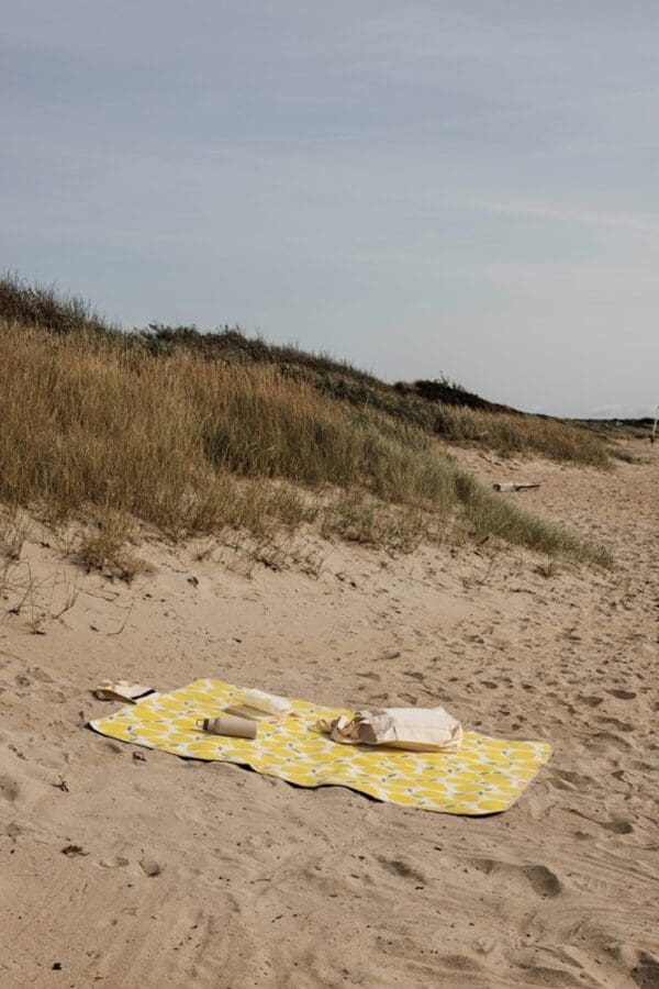 Picknick-Decke VINGA Arwe GRS