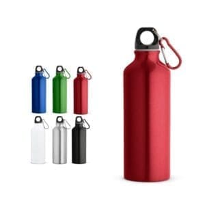 RE-LANDSCAPE M. Flasche aus recyceltem Aluminium 530 mL mit Karabiner