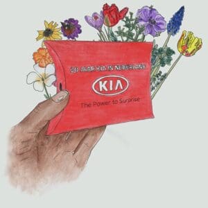 Kissenschachtel: 5 Tulpenzwiebeln