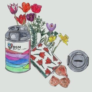 Mini Milchdose und Sparbüchse: 15 botanische Tulpenzwiebeln