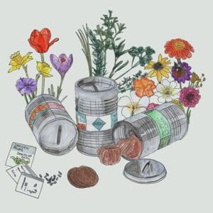 Mini Ölfass und Sparbüchse: 5 Tulpenzwiebeln