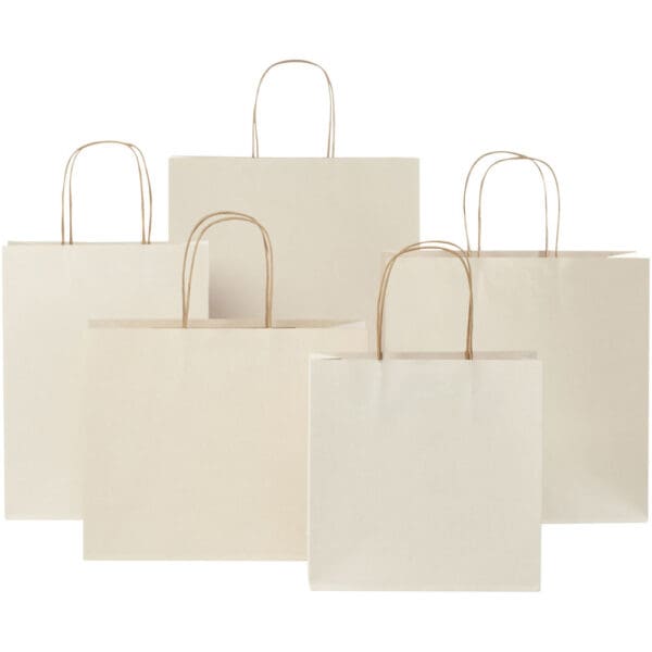 Papiertüte 150 g/m² aus landwirtschaftlichen Reststoffen mit gedrehten Griffen –  24 × 9 × 32 cm