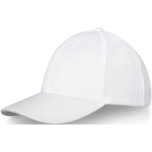 Kappe Drake Trucker mit 6 Segmenten