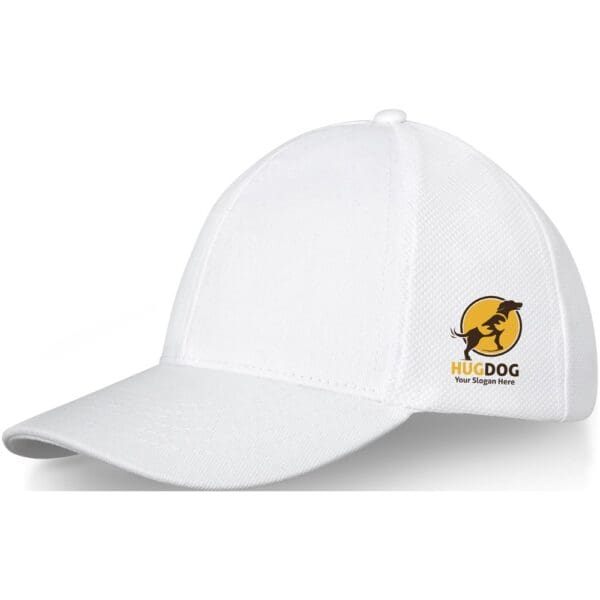 Kappe Drake Trucker mit 6 Segmenten