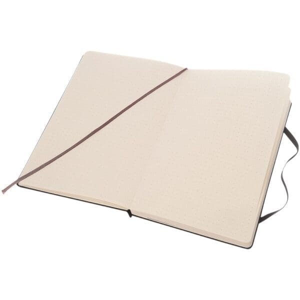 Notizbuch Moleskine Classic Hardcover L – gepunktet