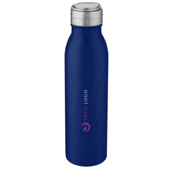 Sportflasche Harper 700 ml aus Edelstahl mit Metallschlaufe