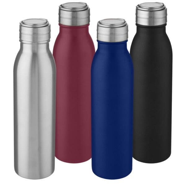 Sportflasche Harper 700 ml aus Edelstahl mit Metallschlaufe