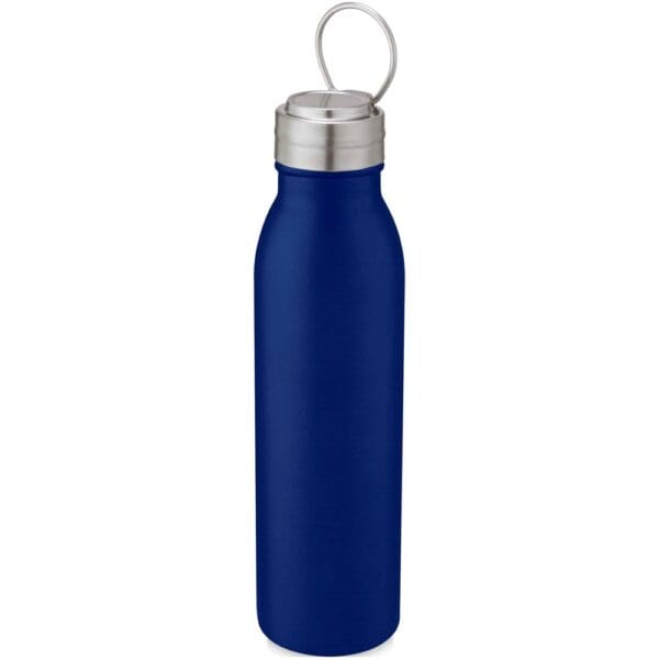 Sportflasche Harper 700 ml aus Edelstahl mit Metallschlaufe