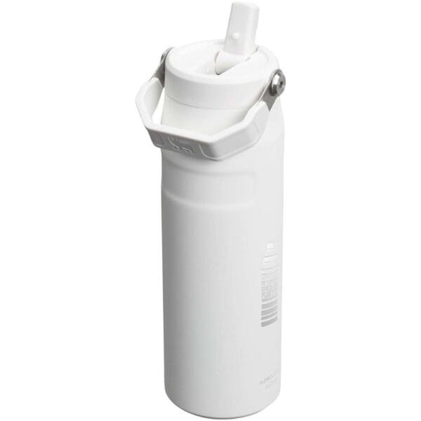 Stanley IceFlow™ 2.0 700 ml Flasche mit Flip-Trinkhalm